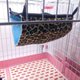 thumbnail image 1 of Hurón, rata, ardilla, mascota, pájaro, hámster, hamaca, jaula colgante, nido, cama, casa, juguetes ZefeiWu 1327533610704, 1 of 1