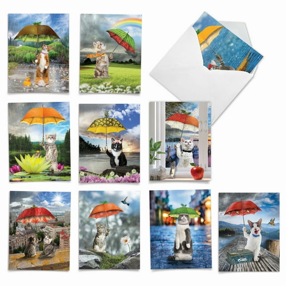 10 Assorted All Occasion Blank Note Cards with Envelopes (4 x 5.12 Inch) - Fruit Cat AM6323OCB-B1x10