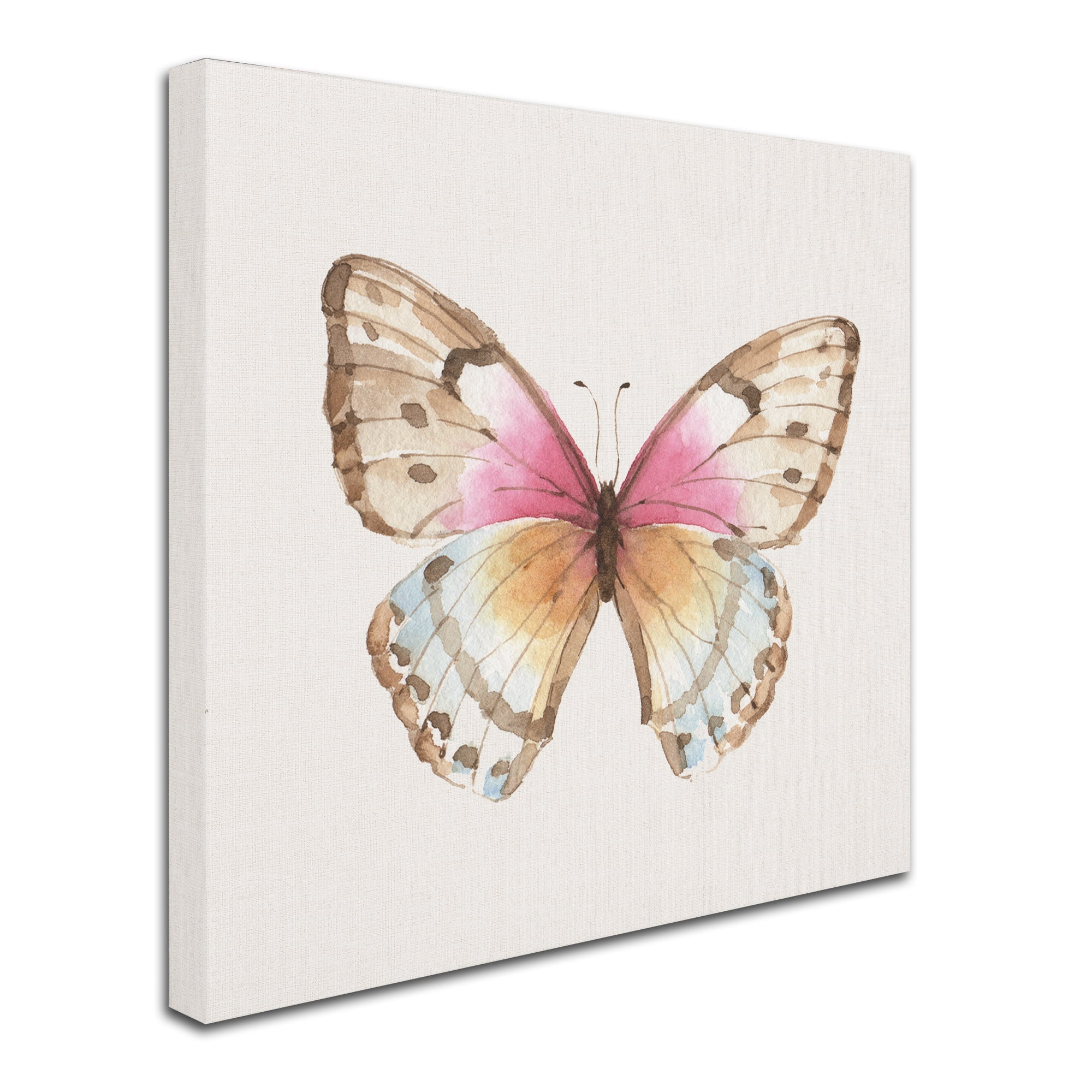 Trademark Fine Art 'Colorful Breeze XI' Canvas Art by Lisa Audit
