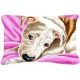 thumbnail image 1 of Carolines Treasures AMB1413PW1216 Rêve Fille Pit-Bull Tissu Coussin Décoratif, 1 of 3