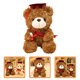 thumbnail image 5 of GOOHOCHY Graduación Bear Fehip Bear Bear Lovely Plush Toy Graduation Bear Regalo, 5 of 8