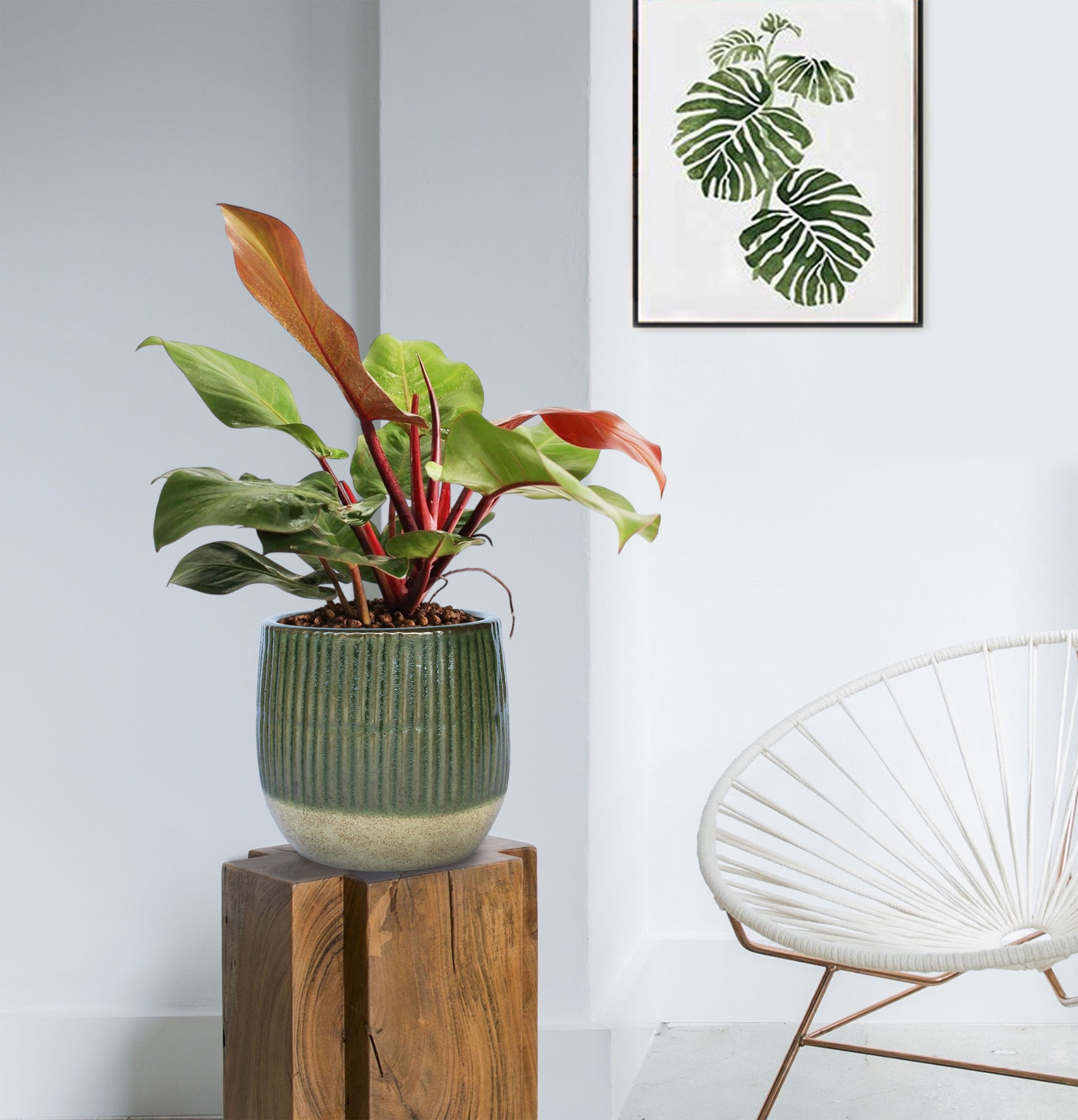 Better Homes and Gardens 8" Green Sable Planter