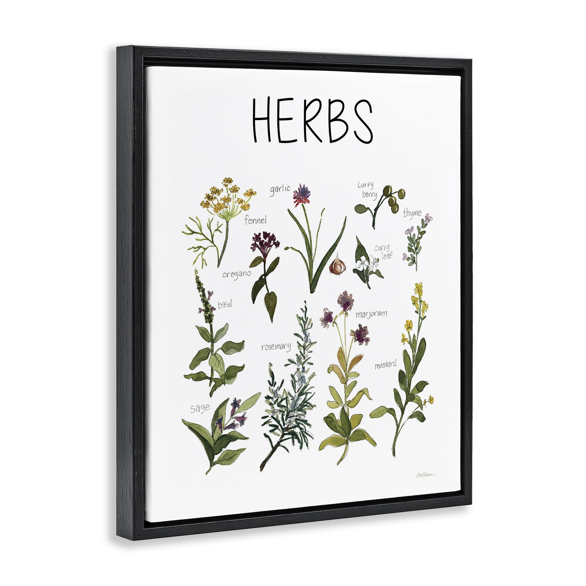 Stupell Industries Herbs Identification Chart Black Framed Floater Canvas Wall Art, design by Carol Robinson