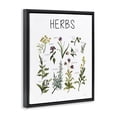 thumbnail image 2 of Stupell Industries Traditional Herbs Identification Chart Black Floating Frame Canvas Art, 17 x 21, by Carol Robinson, 2 of 8