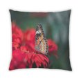 thumbnail image 2 of Ahgly Company Coussin d'Extérieur Papillon Insectes, 18 Pouces par 18 Pouces, 2 of 6