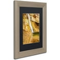 thumbnail image 2 of Trademark Fine Art "Desert Oasis" Canvas Art by Michael Blanchette Photography Black Matte, Birch Frame, 2 of 4