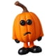 thumbnail image 5 of Calabaza de resina con caras divertidas, calabazas tejidas a mano, adorno, estatua de calabazas, figurita EstiloD 5.7x4.4x9.4cm, 5 of 9