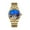 Gold Steel, variant on AESOP Flying Tourbillon Skeleton Mechanical Hand Wind Wrist Watch Men Sapphire Crystal Diamond Business Double-sided Hollow Waterproof Clock Man Luminous Steel Leather Wristwatch Chinese Cities Dial