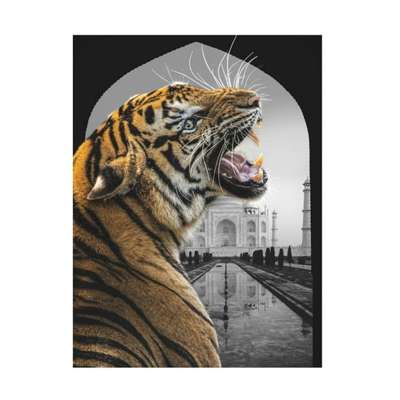 Trademark Fine Art Fadil Roze  Bengali Stare Canvas Wall Art