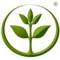 Cinnamon Cassia Essential Oil 4 oz 100% Pure Natural Undiluted Therapeutic Grade.