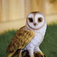 thumbnail image 3 of HI-LINE GIFT LTD. SMALL BARN OWL ON STUMP, 3 of 6