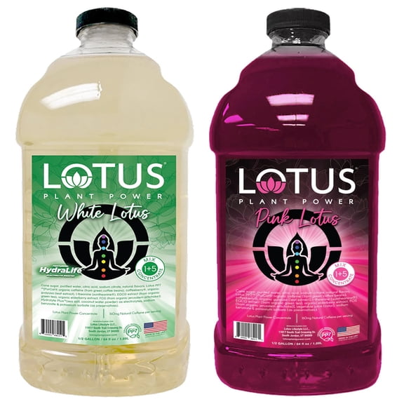Lotus Energy Drink Concentrate 64 fl oz (White & Pink) Pack of 2