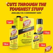 (3 pack) Goof Off Professional Strength Remover – 16 fl. oz. - Latex Paint and Adhesive Remover