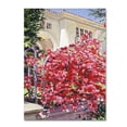 thumbnail image 2 of Trademark Fine Art "Pink Bougainvillea Mansion" Canvas Art by David Lloyd Glover, 2 of 3