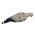 thumbnail image 4 of koolsoo 2X 3D Pigeon Decoy Target Animal Practice Shooting Hunting Bait, 4 of 9