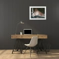 thumbnail image 3 of Stellar Design Studio 18x15 White Modern Wood Framed Museum Art Print Titled - Dixie, 3 of 4