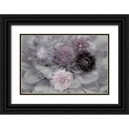 Schuster Inge 18x13 Black Ornate Wood Framed with Double Matting Museum Art Print Titled - Dahlia dream