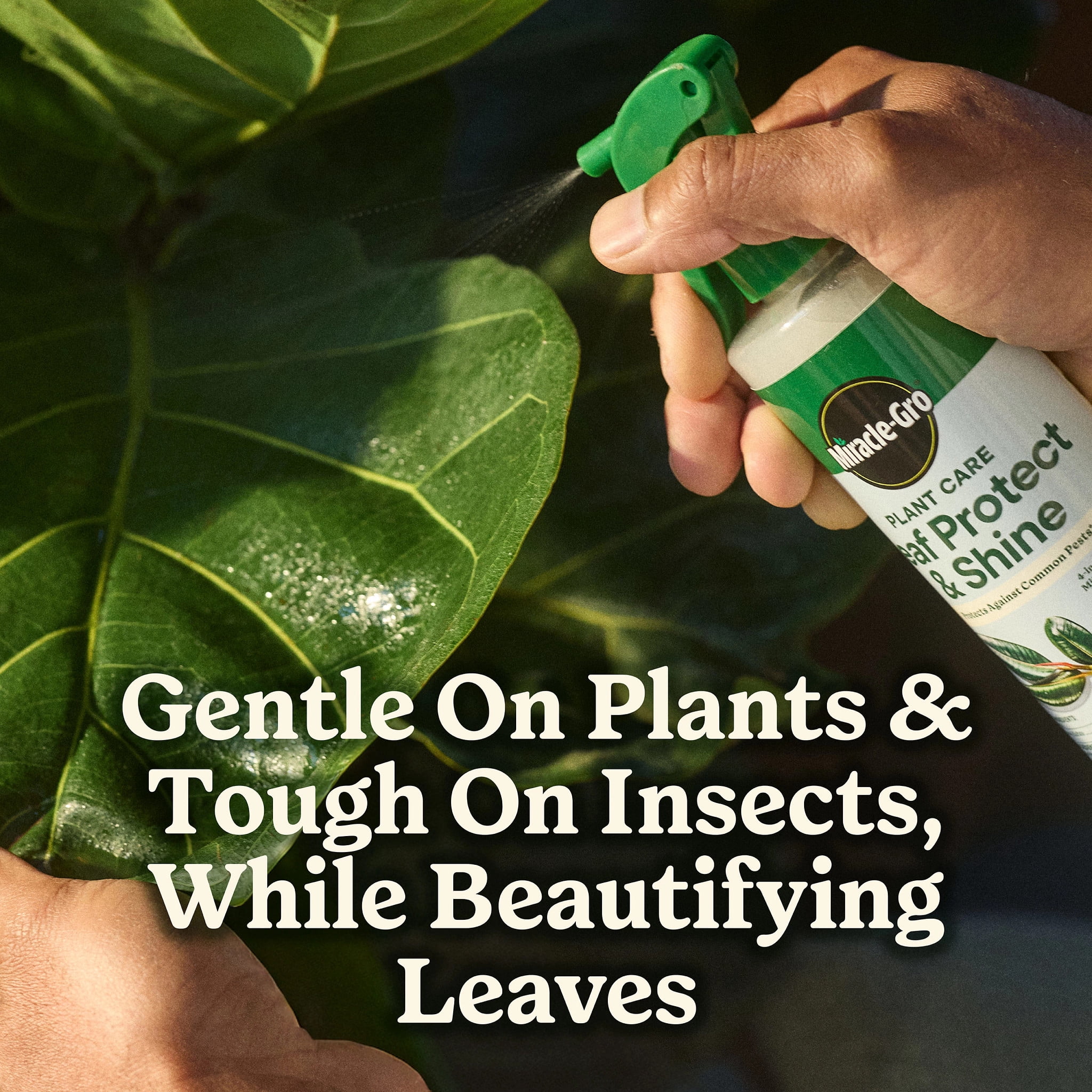 Miracle-Gro Plant Care Leaf Protect and Shine, 4-in-1 Pest Control Spray, 8 fl. oz.