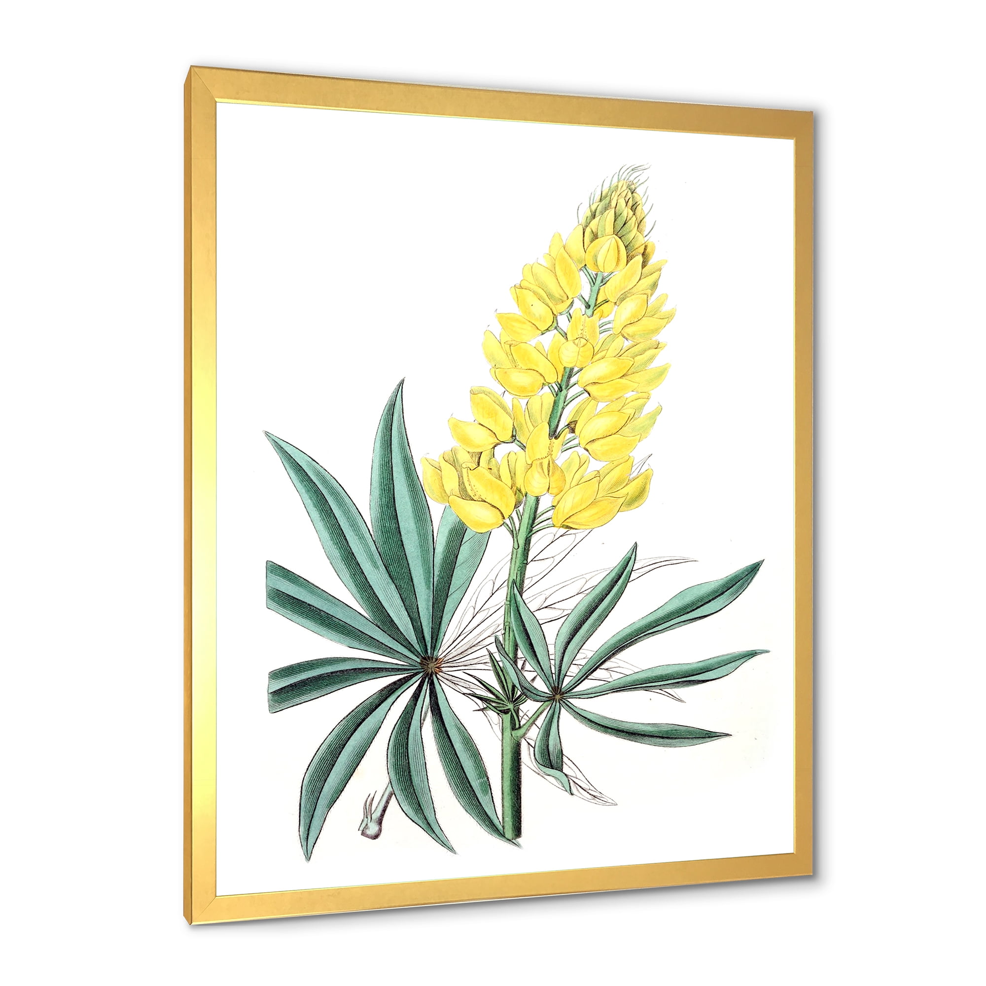 Designart 'Ancient Yellow Flower I' Traditional Framed Art Print