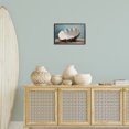 thumbnail image 4 of Stupell Industries Traditional Neutral Shell Still Life Black Framed Giclee Art, 18 x 12, by Petals Prints Design, 4 of 9