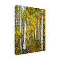 thumbnail image 2 of Trademark Fine Art 'Yellow Woods V' Canvas Art by David Drost, 2 of 4