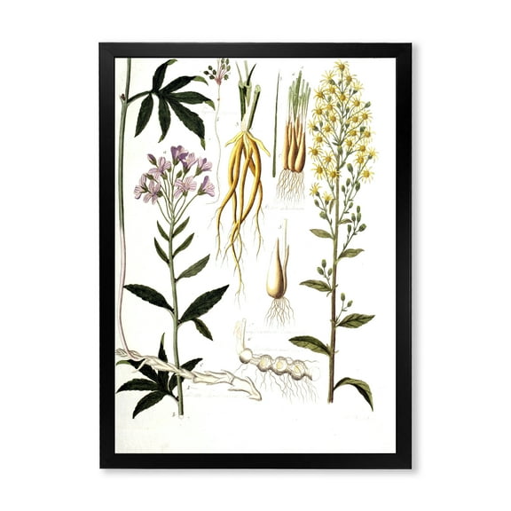 Designart 'Ancient Plant Life VIII' Farmhouse Framed Art Print