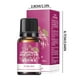 thumbnail image 1 of Pisexur Batería de cocina Aceite de masaje corporal de jengibre para limpiar meridianos de espalda (10 ml) para la cocina del hogar, 1 of 2