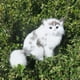 thumbnail image 3 of Juguete De Peluche Modelo De Simulación Animal Decoración Para Niños De Cumpleaños Artesanal, 3 of 9