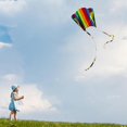 thumbnail image 2 of Kids Adult Rainbow Small Pocket Kite + Color Double T1Y5 H4X9 Tail Pouch O3Y2, 2 of 6