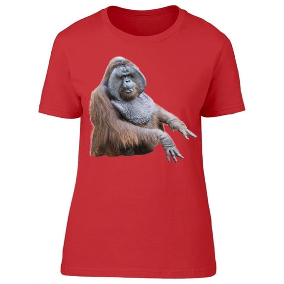 Funny Picture Of Orangutan  T-Shirt Women -Image by Shutterstock, Female Large