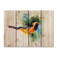 thumbnail image 4 of Day Dream HQ Crousers the Oriole Inside & Outside Wood Wall Art - 22 x 16 in., 4 of 7