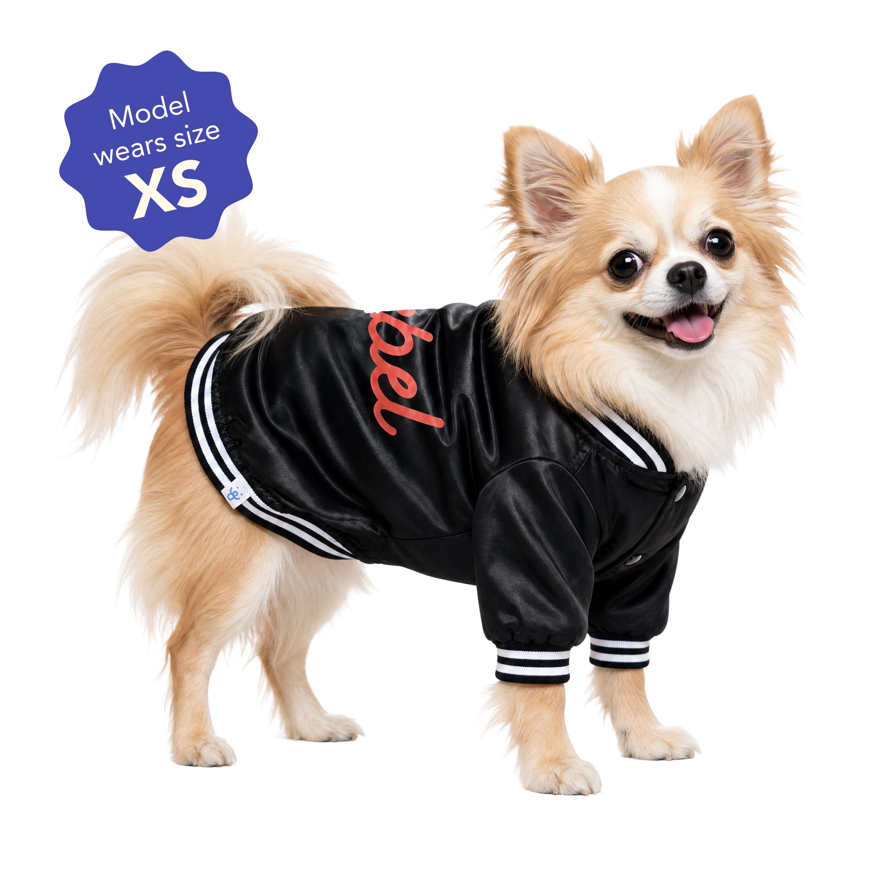 Oodles Rebel Fall Dog Jacket, Black, XS