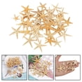 thumbnail image 4 of Estrella de mar natural - Decoración para el hogar Conchas marinas Artesanía 2-3cm 50 piezas Zulema artesanías conchas marinas, 4 of 8
