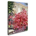 thumbnail image 2 of Trademark Fine Art "Pink Bougainvillea Mansion" Canvas Art by David Lloyd Glover, 2 of 3
