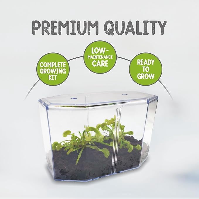 Live Venus Flytrap Kit with Carnivorous Plant Food, Tweezers, Peat Pellets & 7.5" Clear Tank – 2 Flytrap, Bug-Eating Plants for Indoor STEM Learning