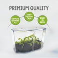 thumbnail image 6 of Live Venus Flytrap Kit with Carnivorous Plant Food, Tweezers, Peat Pellets & 7.5" Clear Tank – 2 Flytrap, Bug-Eating Plants for Indoor STEM Learning, 6 of 6