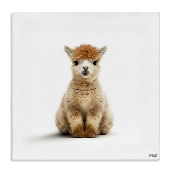 Stupell Industries Minimalist Baby Alpaca Portrait Canvas Art, 17 x 17, by RB