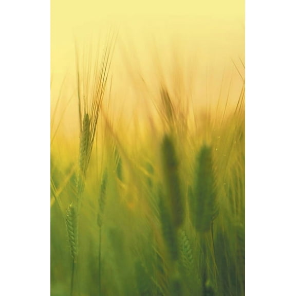 Agricultural Microbiology, (Hardcover)