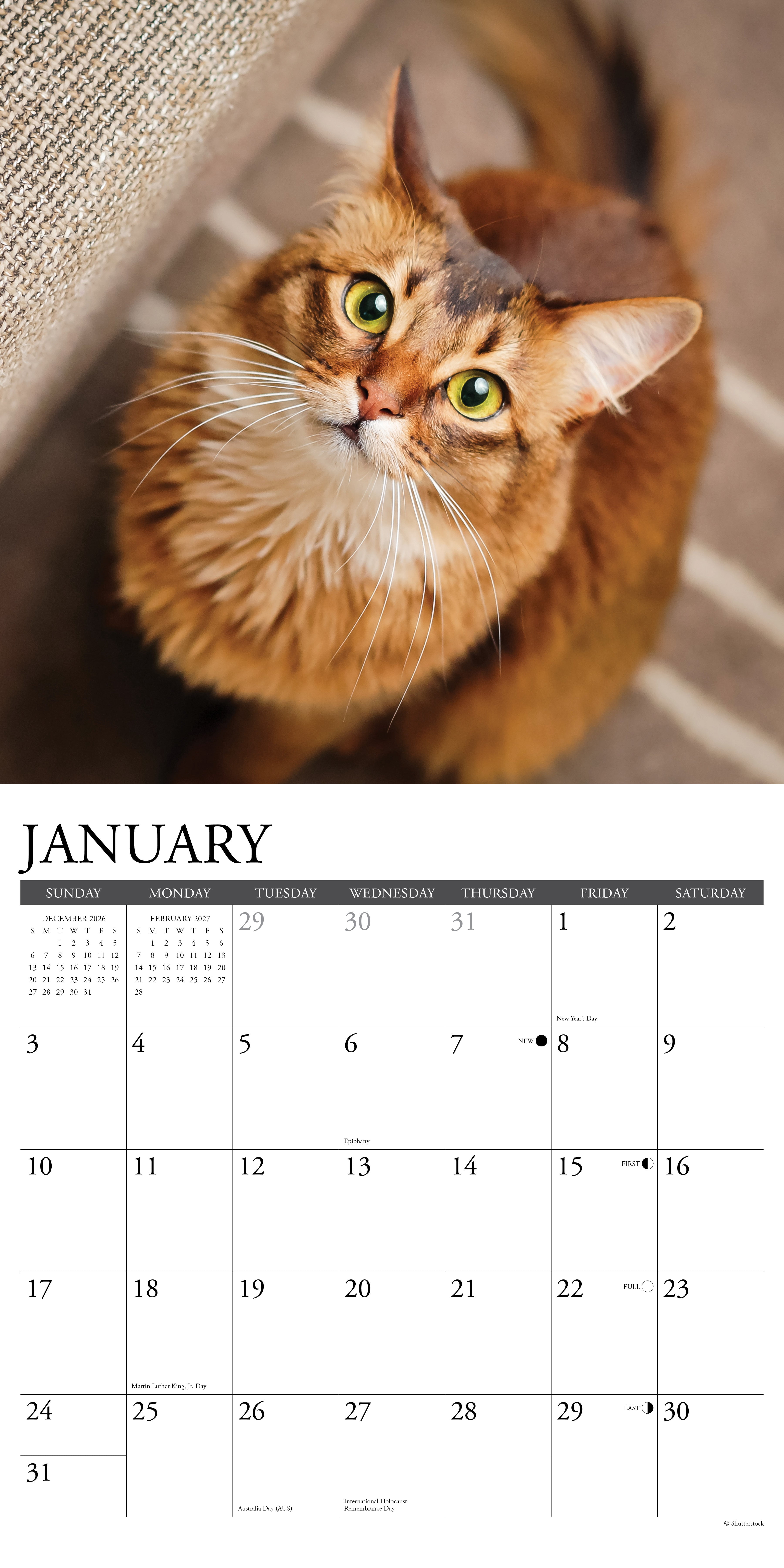 Willow Creek Press, Cats 2027 Wall Calendar