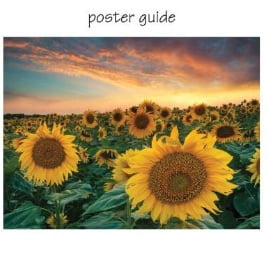 Pink Sky Puzzle 300 Piece Cylinder Box Gift Jigsaw Puzzle