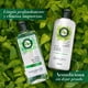 thumbnail image 5 of Shampoo Herbal Essences Detox Té Verde & Menta 400 ml, 5 of 5