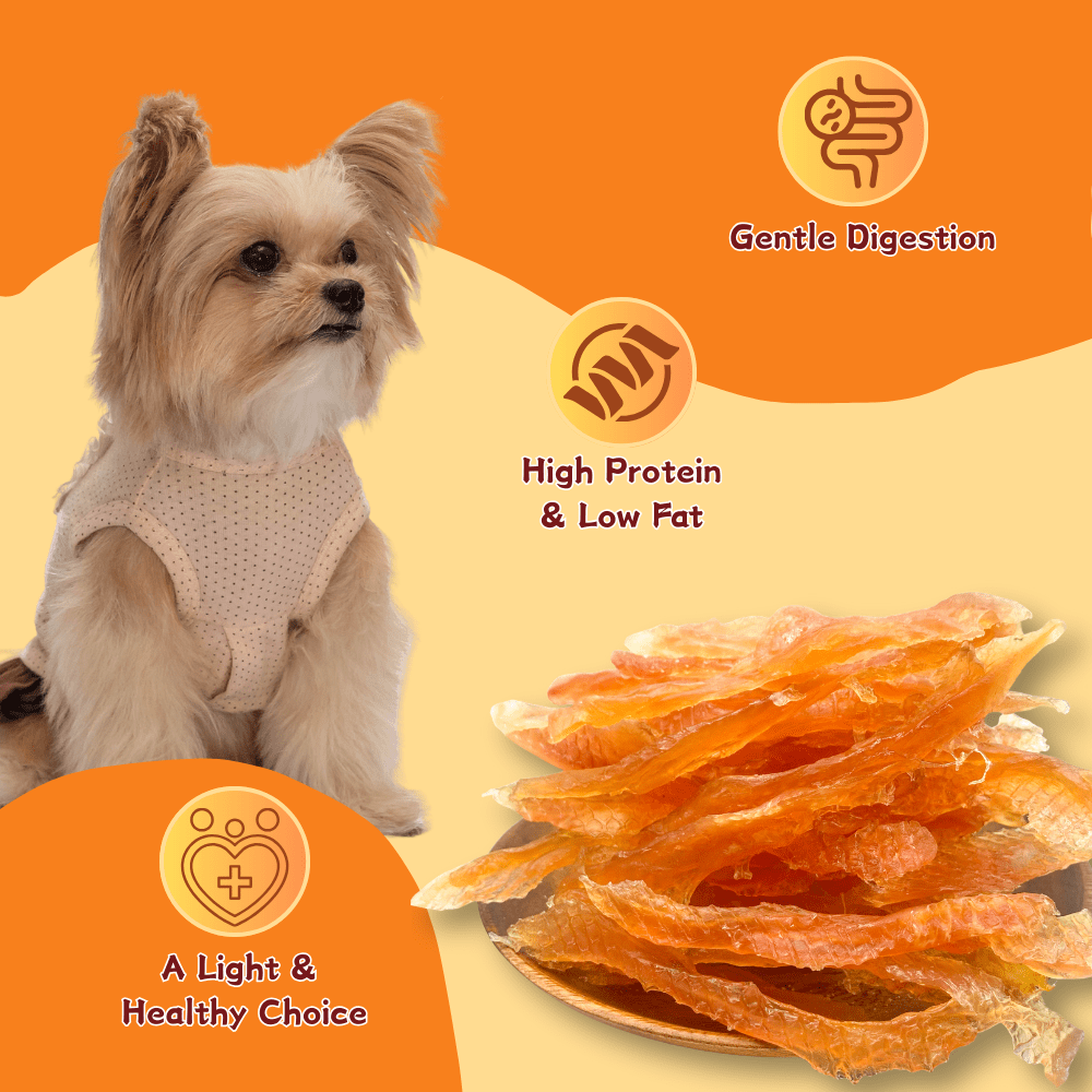 Tender Touch Chewy Chicken Jerky Dog Treats, High-Protein, Perfect for Training, 2.65 Pound