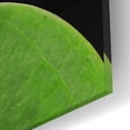 thumbnail image 3 of Epic Art 'Peekaboo' by Epic Portfolio Acrylic Glass Wall Art, 16"x12", 3 of 8