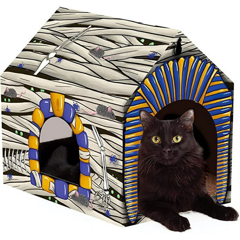 Halloween scratch house cat scratcher 2025
