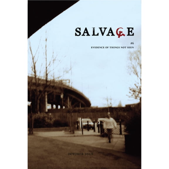 Pre-Owned Salvage #6: Evidence of Things Not Seen (Paperback) by Salvage