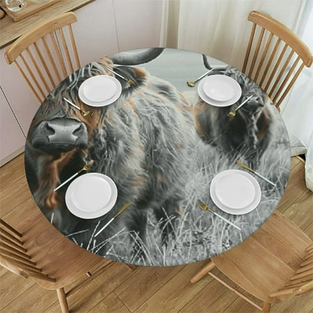 

Sheronv Cattle Grass Field Long Horns Round Table Cover Stain Resistant Washable Indoor Outdoor Tablecloth Kitchen Dining Wedding Parties Picnic Farmhouse 100% Polyester Fiber 42-46