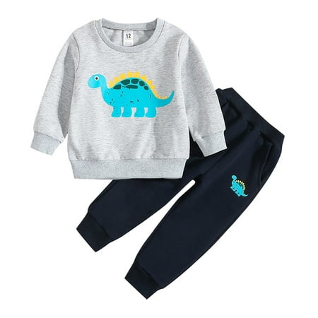 

TIREOW Boy s and Girl s Soft Outfits Toddler Boys Long Sleeve Cartoon Dinosaur Prints Tops and Pants Child Kids 2PCS Set Autumn and Winter Outfits