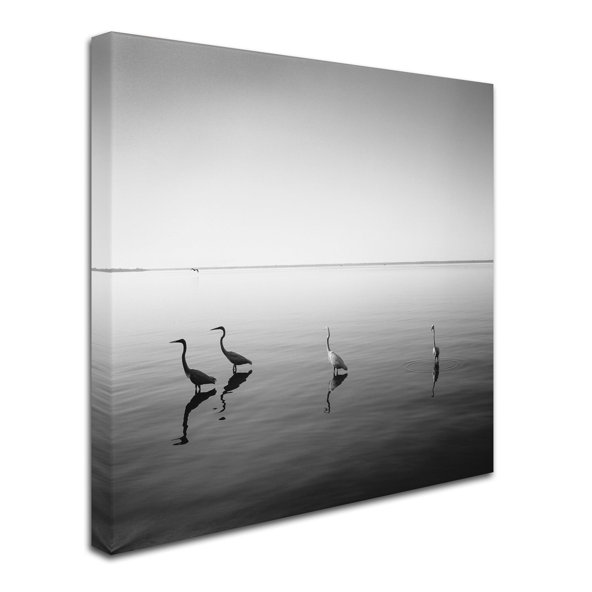 Trademark Fine Art "4 Herons" Canvas Art by Moises Levy