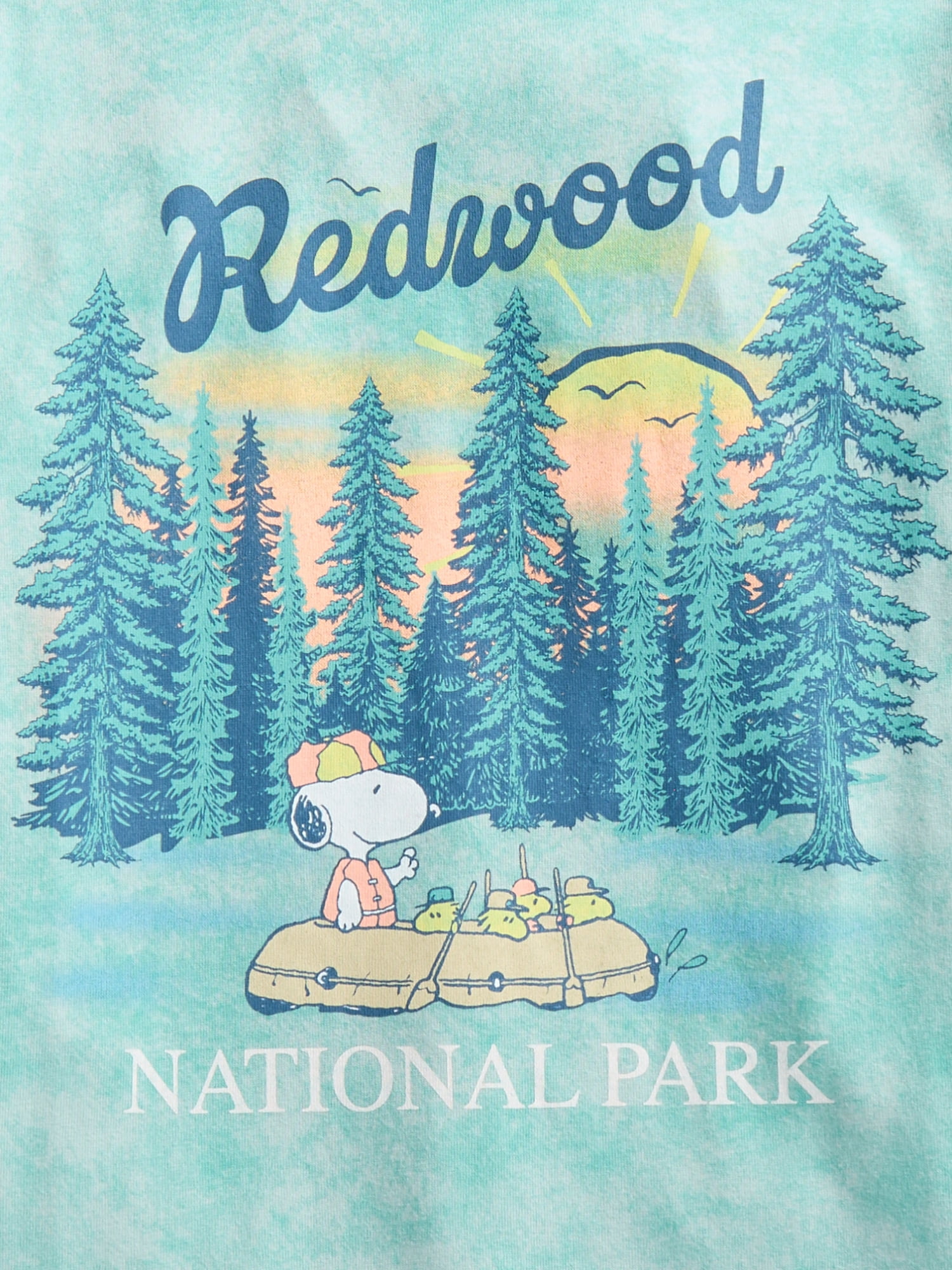 Peanuts Girls' Graphic Tee with Short Sleeves, Sizes 4-16