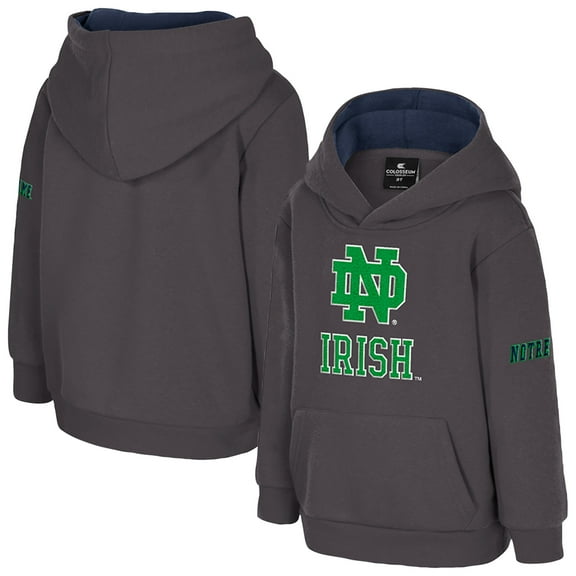 Toddler Colosseum  Charcoal Notre Dame Fighting Irish Big Logo Volume Fleece Pullover Hoodie